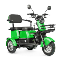 Электротрицикл Rutrike Gelbert Mercury 48V/60V 650Вт Зеленый