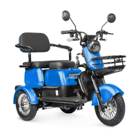 Электротрицикл Rutrike Gelbert Mercury 48V/60V 650Вт Синий