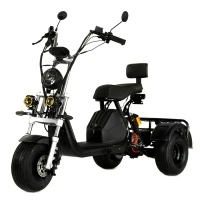 Электроскутер Ikingi X1 PRO TRIKE
